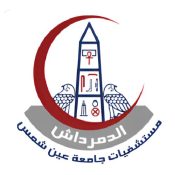 Ain Shams University